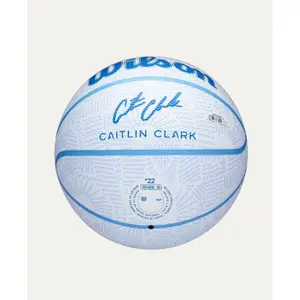 Basketball Wilson EnVision image-1