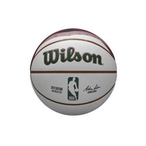Boston Celtics Ball Team City Collector 2023