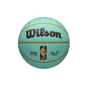 wz4033804xb-balloon-der-charlotte-hornets-nba-team-city-collector-2024-blassblau-grosse-7