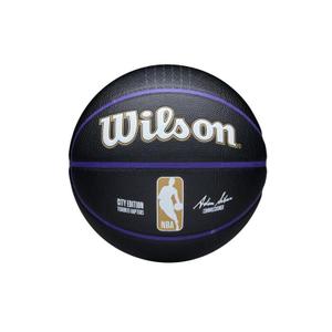 Toronto Raptors Ball NBA Team City Collector 2024
