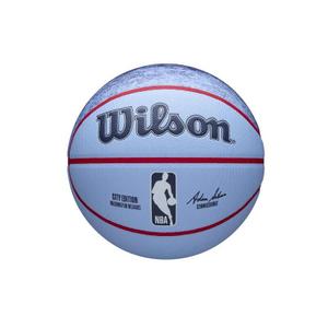 Washington Wizards Ball NBA Team City Collector 2024