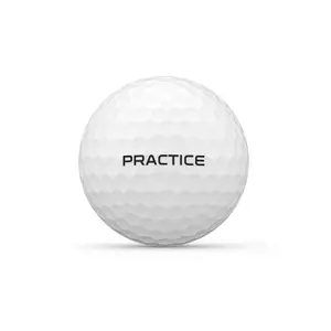 Wilson Staff Premium Golfbälle zum Trainieren (x24) image-0