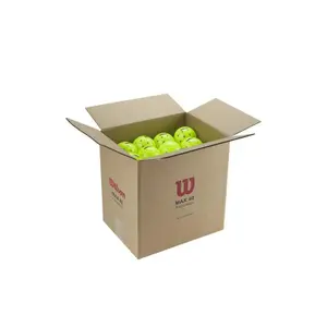 Unpacked pickleball ball Wilson Max 40 Outdoor
