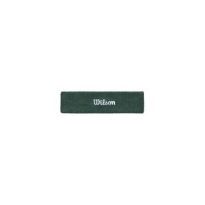 wu00019511gng-headband-wilson-terry-logo-green-one-size