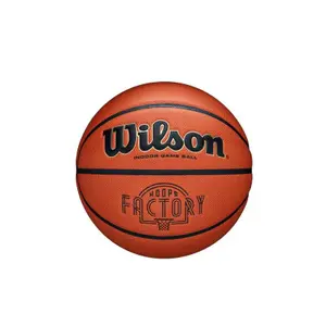Basketball Wilson Evolution Hoops Factory