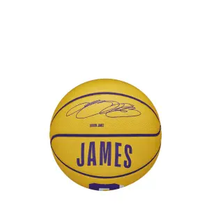 Mini globo Wilson NBA Lebron James image-0