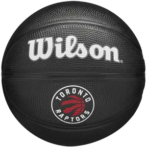 Mini palloncini nba Toronto Raptors