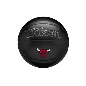 NBA Ball Premiere Chi Bulls image-0