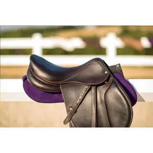 Amortiguador de caballo Winderen Jumping Slim 10 mm image-1