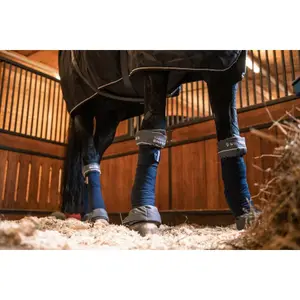 Ruhebänder für Pferde Winderen Thermo image-1