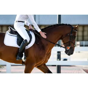 Steigbügel Winderen image-1