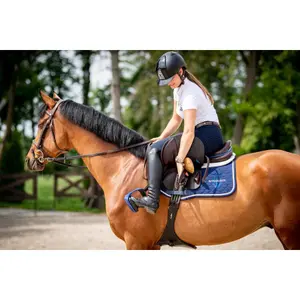 Stirrups Winderen image-1