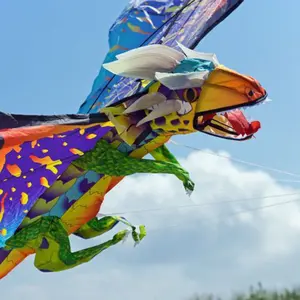 3D Monofil Drachen WindNSun Dragon Fire image-1