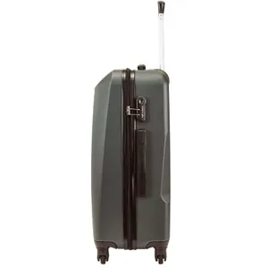 Suitcase Wings Plover (x3) image-1
