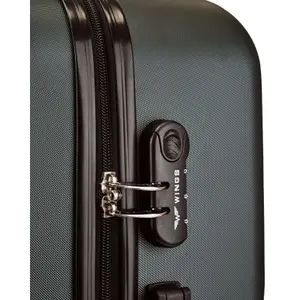 Suitcase Wings Plover (x3) image-5