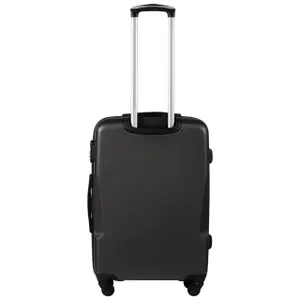 Suitcase Wings Plover (x3) image-3