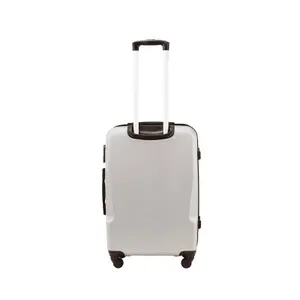 Suitcase Wings Plover (x3) image-2