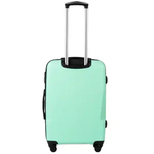 Suitcase Wings Plover (x4) image-3