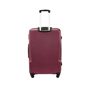 Suitcase Wings Plover image-2