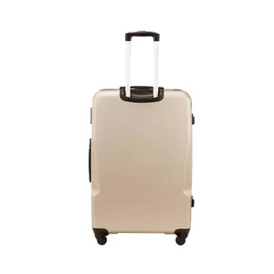 Suitcase Wings Plover image-2