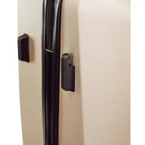 Suitcase Wings Plover image-4