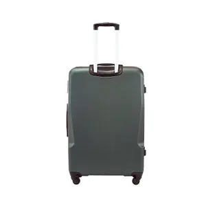 Suitcase Wings Plover image-2