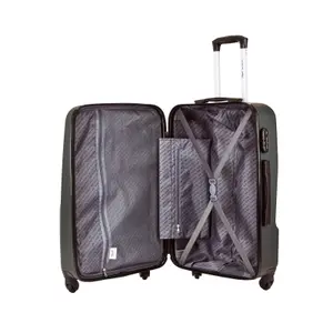 Suitcase Wings Plover image-5