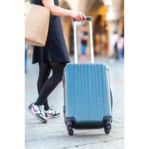 Suitcase Wings Flamingo (x3) image-6