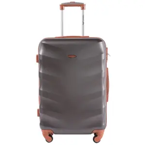 Suitcase Wings Albatross (x4) image-2