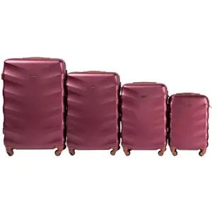 Suitcase Wings Albatross (x4) image-0