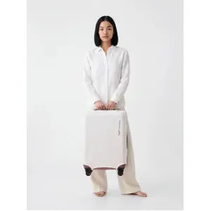 Suitcase Wings image-1