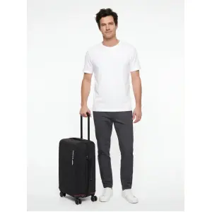 Suitcase Wings image-1