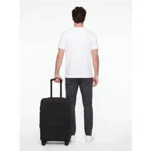 Suitcase Wings image-2