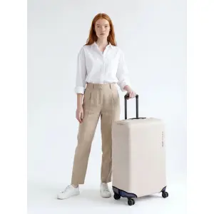 Suitcase Wings image-2