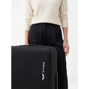 Suitcase Wings image-2