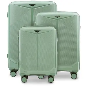 Suitcase Wings Cockatiel (x3) image-0