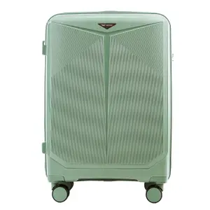 Suitcase Wings Cockatiel (x3) image-1