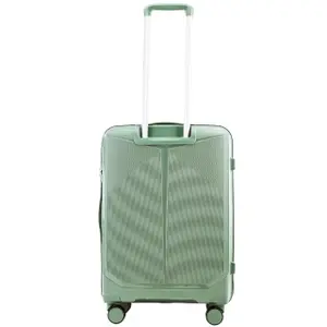 Suitcase Wings Cockatiel (x3) image-2