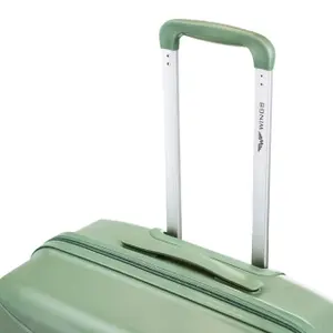 Suitcase Wings Cockatiel (x3) image-6