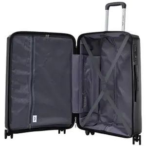 Suitcase Wings Cockatiel (x3) image-6