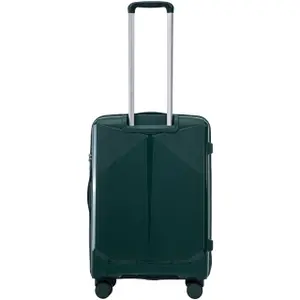Suitcase Wings Cockatiel (x3) image-4