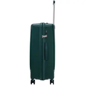 Suitcase Wings Cockatiel (x3) image-5