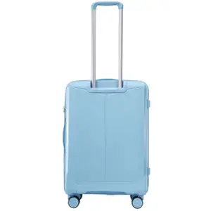 Suitcase Wings Cockatiel (x3) image-4