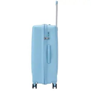 Suitcase Wings Cockatiel (x3) image-5