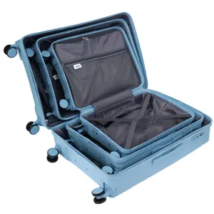 Suitcase Wings Cockatiel (x3) image-6