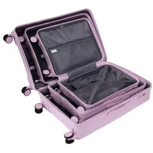 Suitcase Wings Cockatiel (x3) image-6