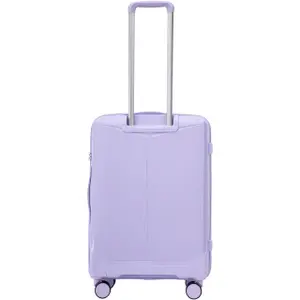Suitcase Wings Cockatiel (x3) image-4