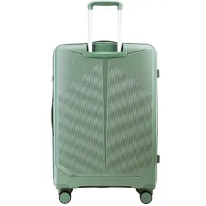 Suitcase Wings Cockatiel image-2