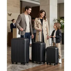 Suitcase Wings Harrier (x3) image-1