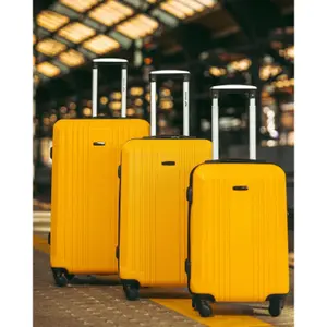 Suitcase Wings Kestrel (x3) image-1